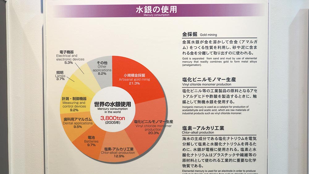 Minamata Disease Japan S Painful Lesson To Protect Nature Sustainability From Japan Zenbird