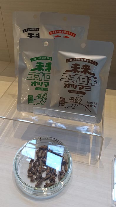 Alternative food cricket snacks in four different flavors.