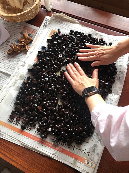 Camellia seeds used in the extraction process.