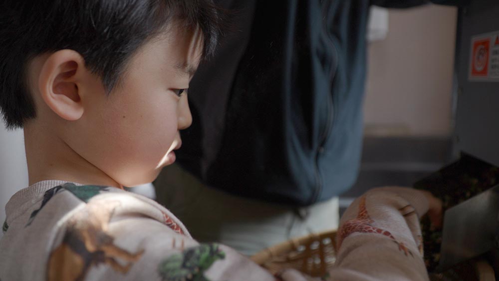 Boy learning about Camellia oil extraction.