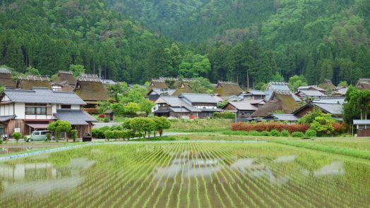 satoyama