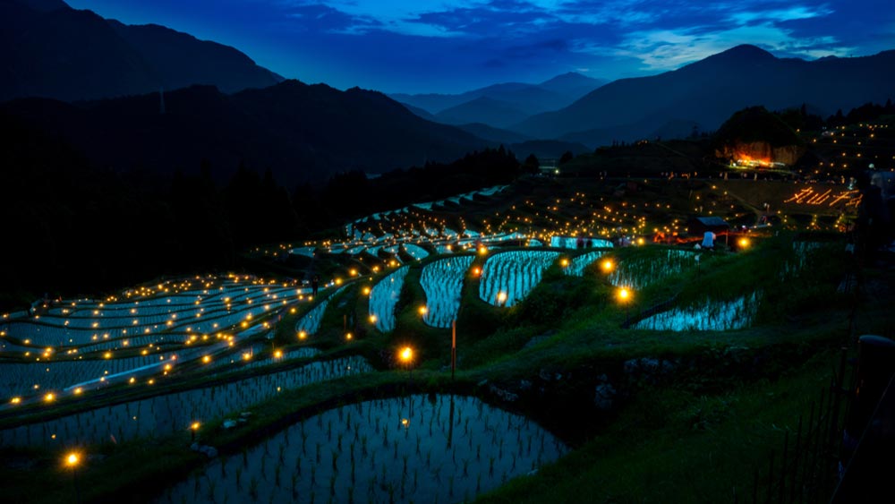 Maruyama Senmaida rice field