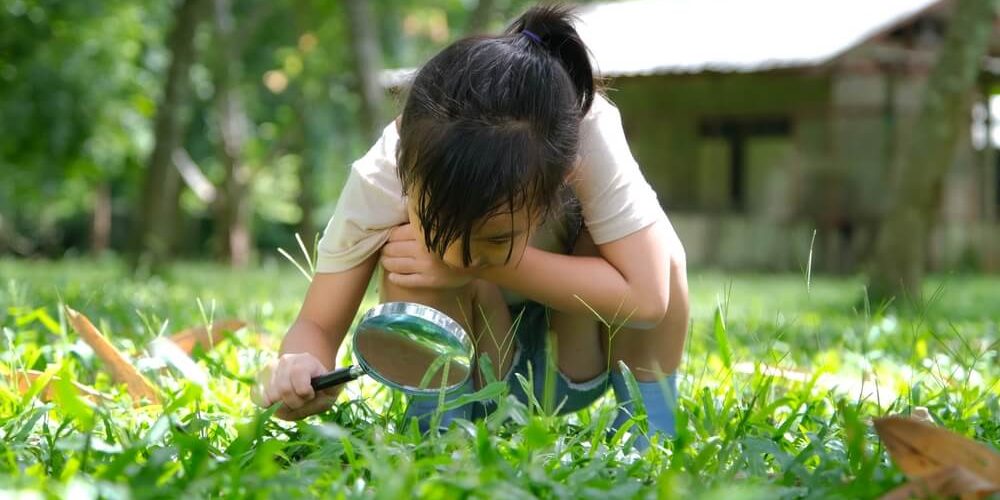 environment learning