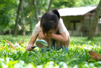 environment learning