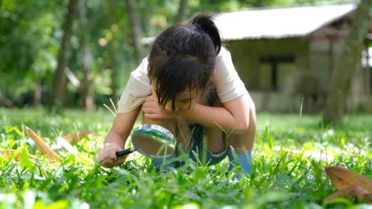 environment learning