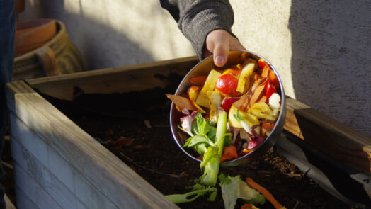 compost