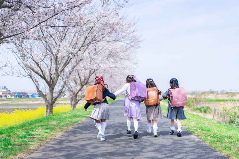 elementary school students and cherry trees