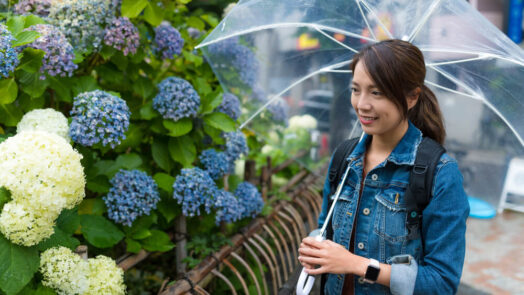 rainy season