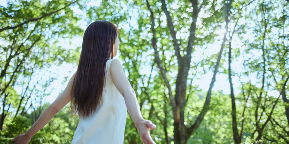 Forest bathing