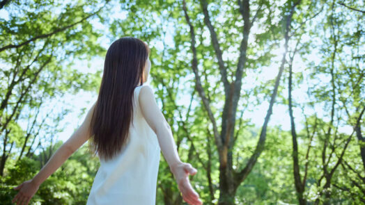 Forest bathing