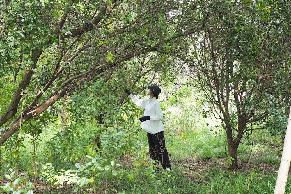 A scene of a workshop held in June