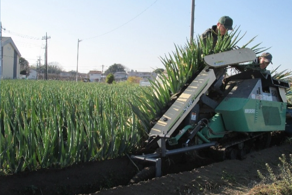 Circulating Tokyo food waste into fresh Megunegi leeks | Sustainability from Japan - Zenbird