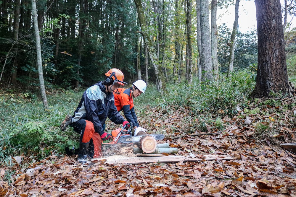 woods cutting experience