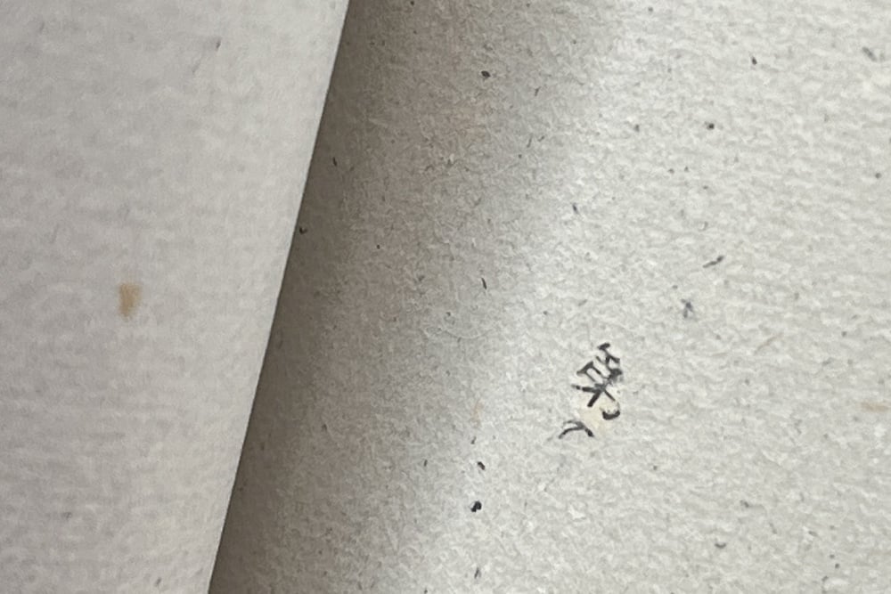 the notebook’s pages